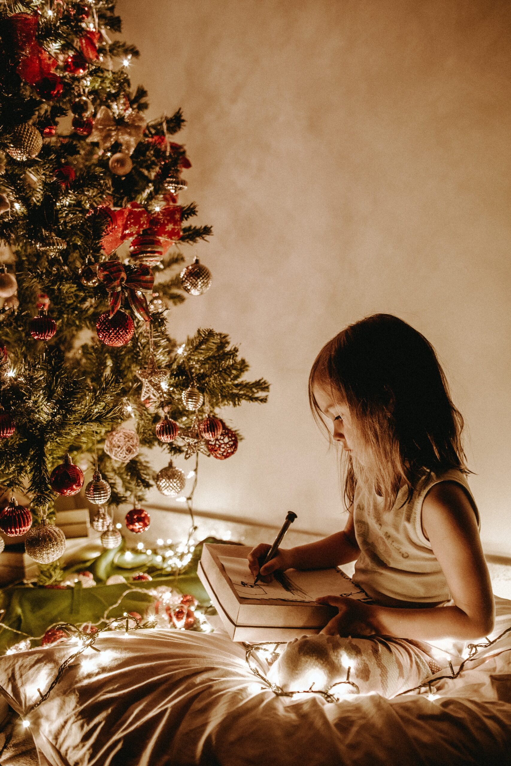 Merry Christmas chez Petit Haricot
